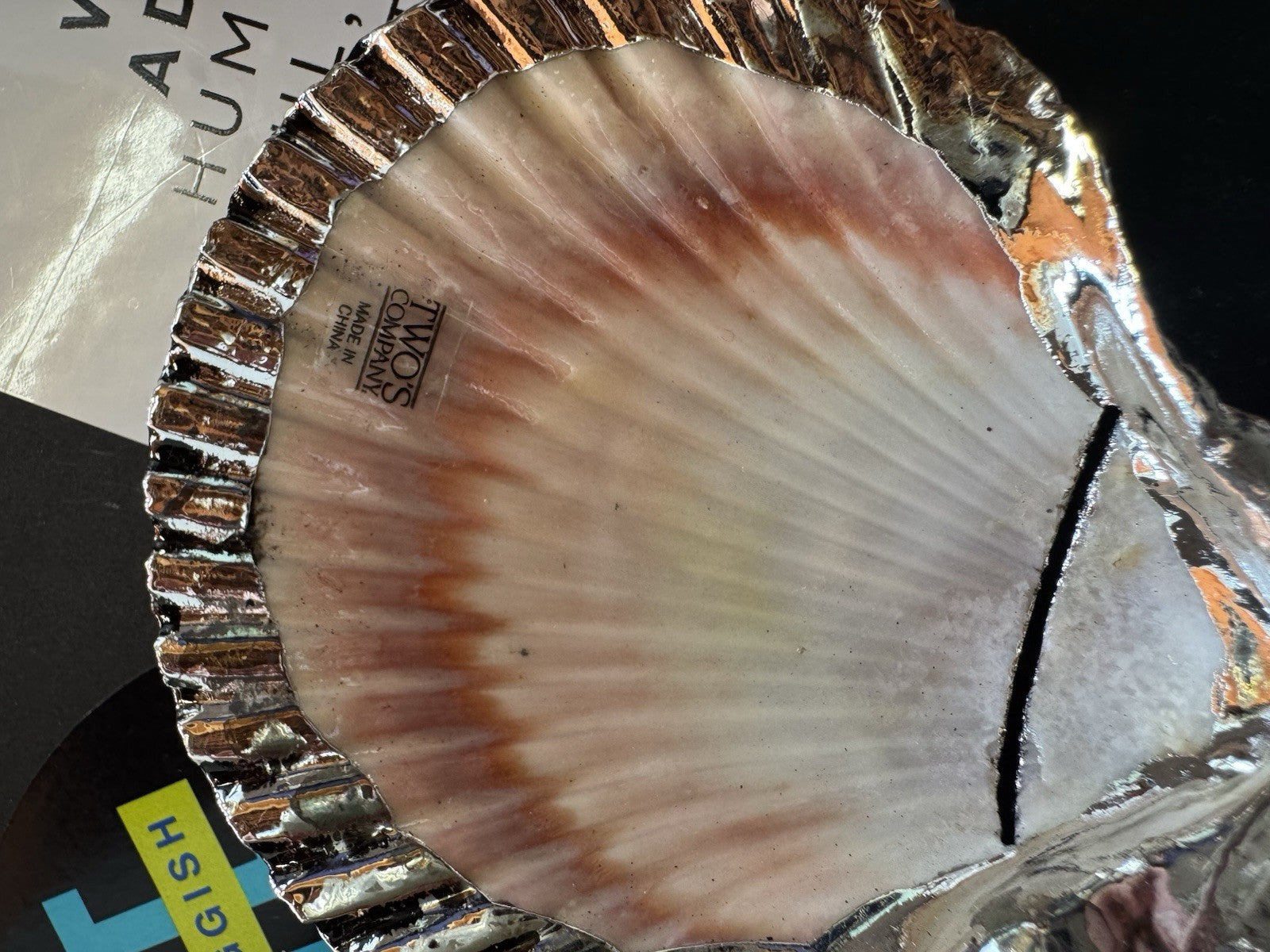 8 Neptune Silver Plated Scallop Shell Place card Holders / Two’s Comp Beach Sea!