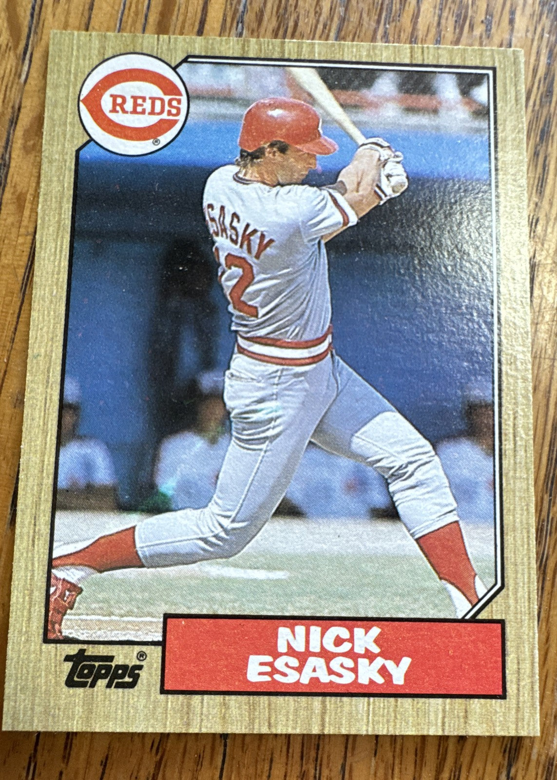 1987 Topps - Nick Esasky #13