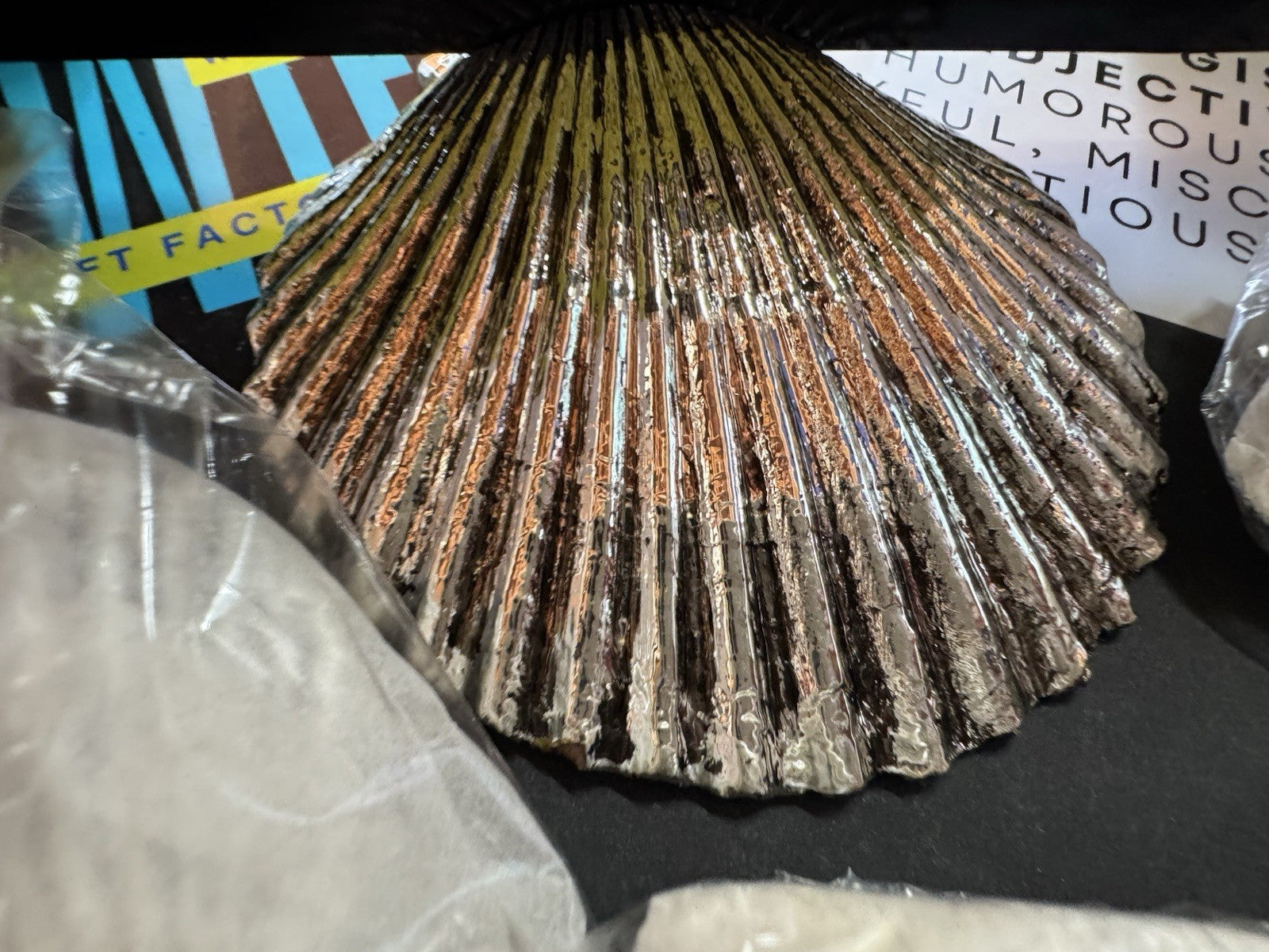 8 Neptune Silver Plated Scallop Shell Place card Holders / Two’s Comp Beach Sea!