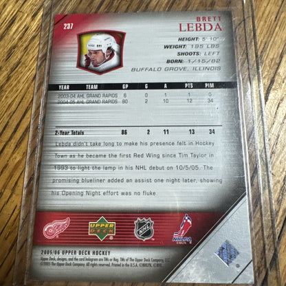 2005-06 Upper Deck - Young Guns Brett Lebda #237 (RC)