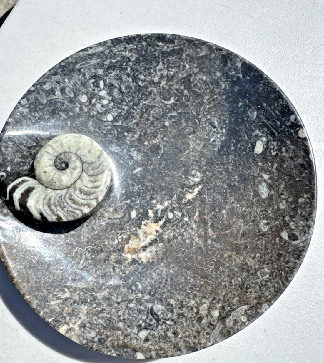 Vintage Large Ammonite Fossil Bowl, Unmarked, Nice Detailing