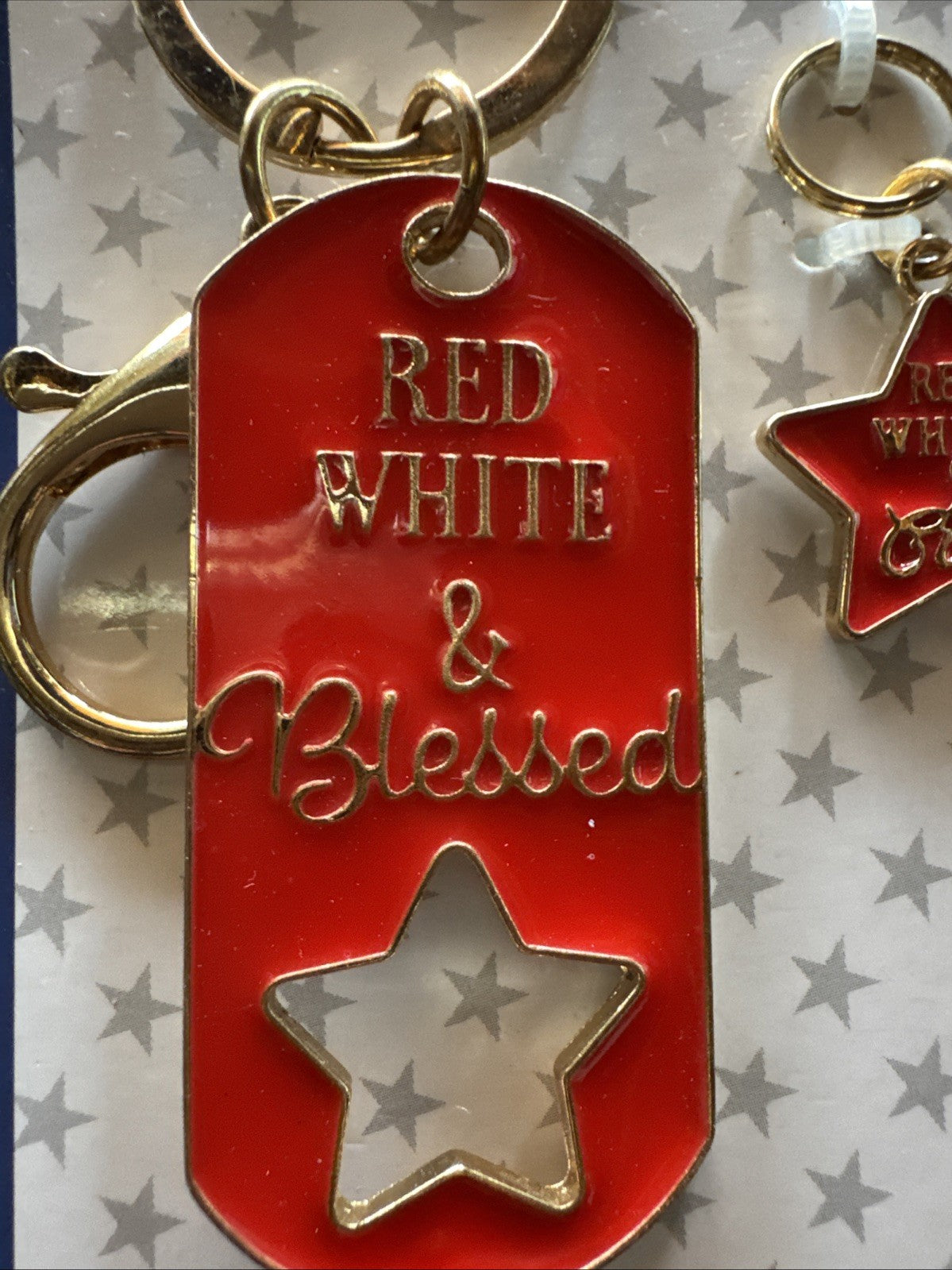 Heads or Tails 2PC Pet Collar Charm with matching Keychain  Set - Red, White And