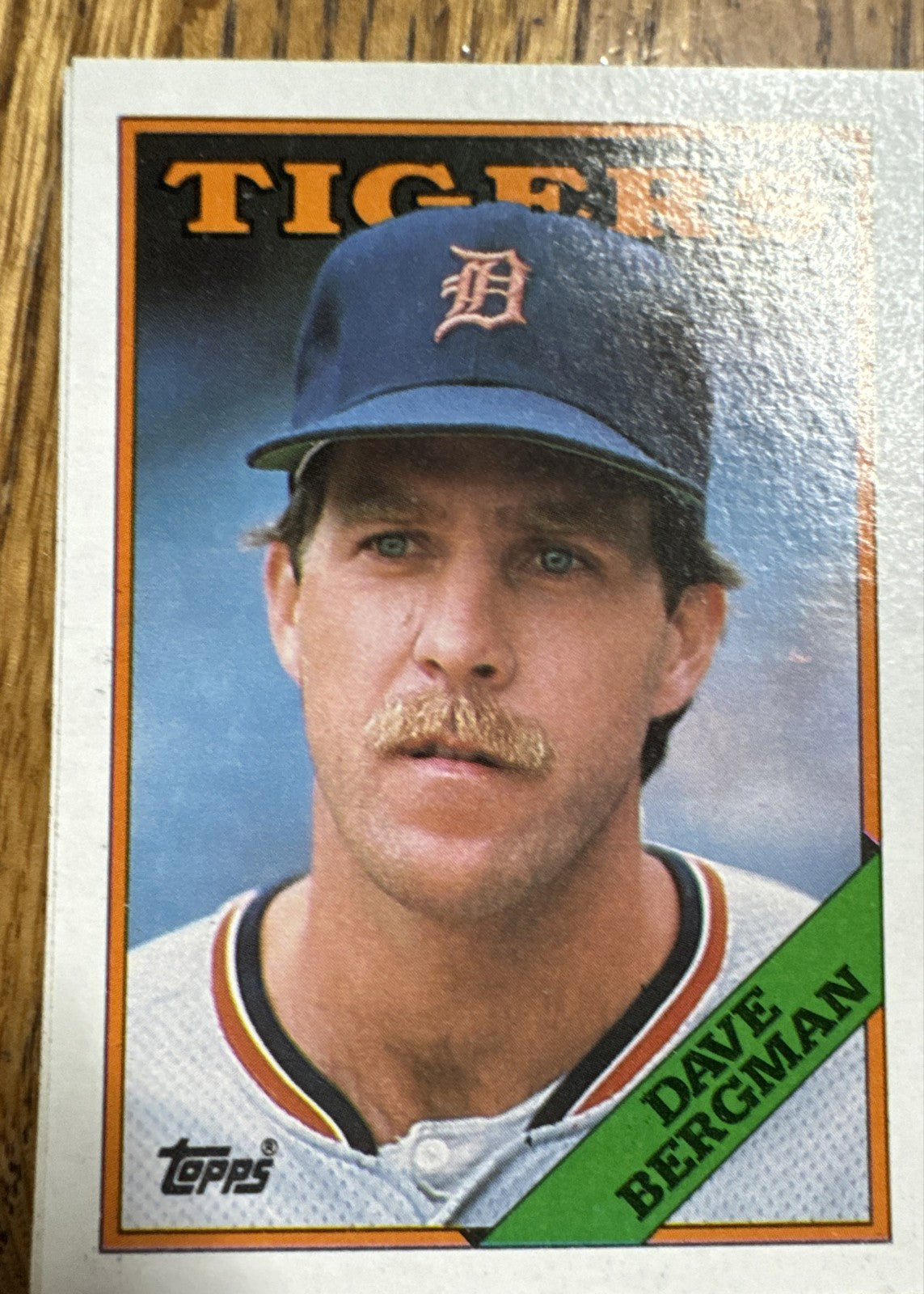 1988 Topps - Dave Bergman #289